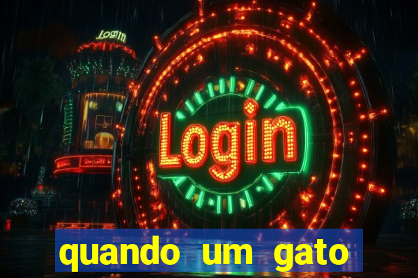quando um gato aparece do nada significado espiritual